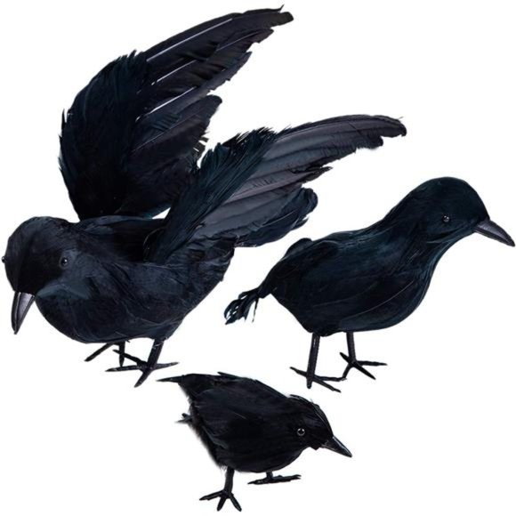 3 Pcs Black Crows Halloween Prop Handmade Feathered Crow (Black, 3) - Picture 1 of 7